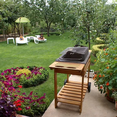 Гостевой дом Kiwi Золотые Пески