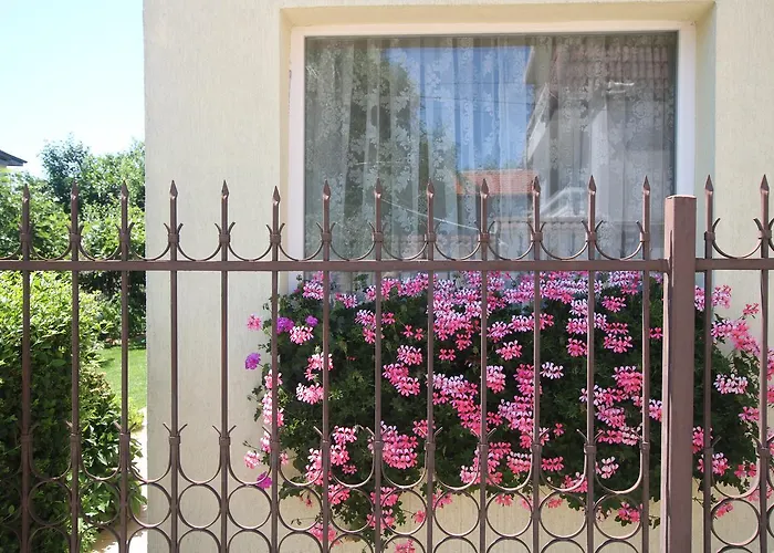 Gæstehus Kiwi Golden Sands